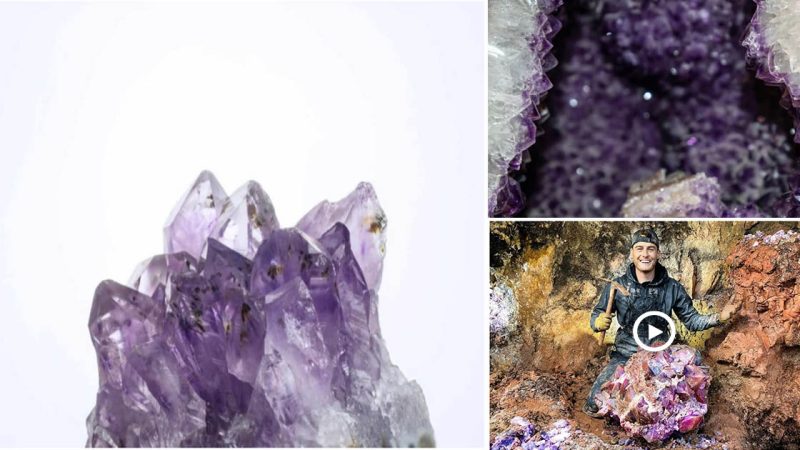 Mining at a Private Mine, I Discovered a $50,000 Rare Amethyst Gem! (An Incredible Discovery)