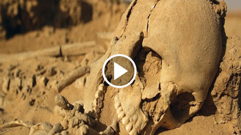 A huge skeleton was found by researchers in the Sahara Desert!