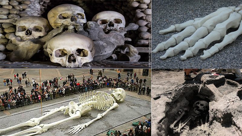 Scientists are concerned that the giants may be making a comeback after the discovery of 20 “giant” skeletons