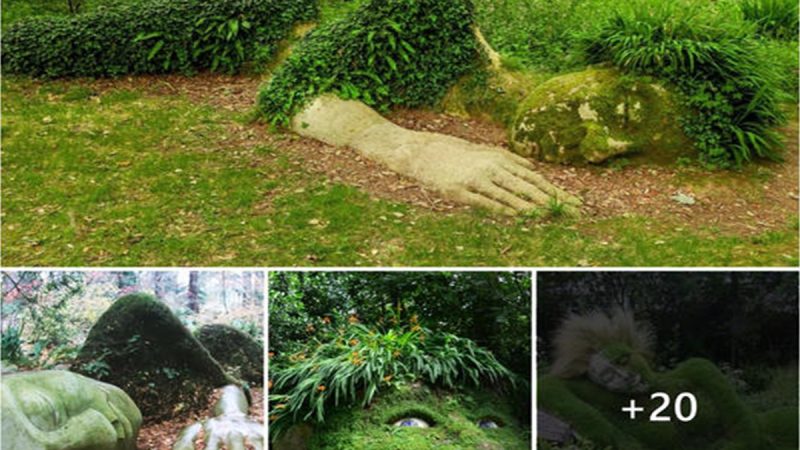 Incredible Living Sculpture In The Lost Gardens Of Heligan Changes Its Appearance With The Seasons