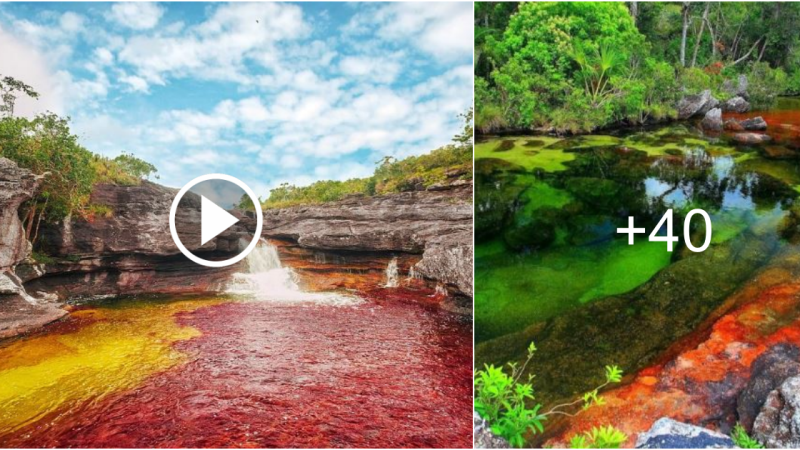 This Rainbow River in Colombia Has the Most Amazing Colors in the World