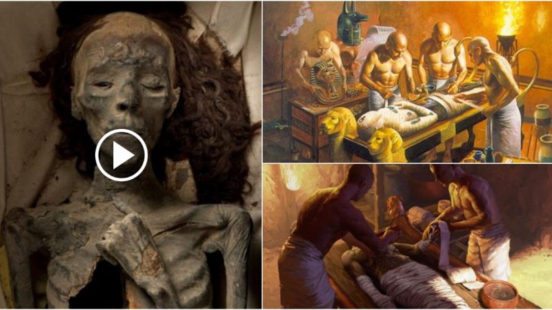 Unlocking The Spine-Chilling Secrets Of Ancient Egyptian Mummification Process.