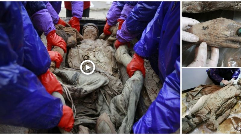 A Perfectly Preserved 700-Year-Old Mummy Found in Brown Liquid Appears to Be Just a Few Months Old