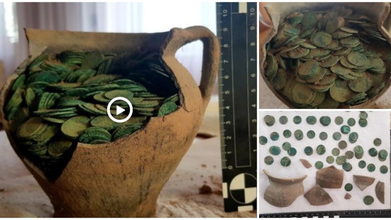 17th-century hoard brimming with 1,000 coins discovered in Poland