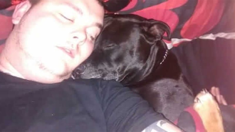 Man decides to take his own life – then he realizes what’s in his dog’s mouth