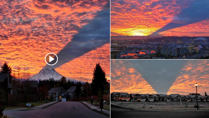 The rare moment when Mount Rainier casts a shadow on the clouds creating a scene like in the movies