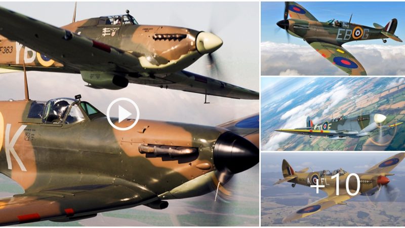 The Spitfire: An Iconic Aircraft of History Thanks to Its Exceptional Engineering