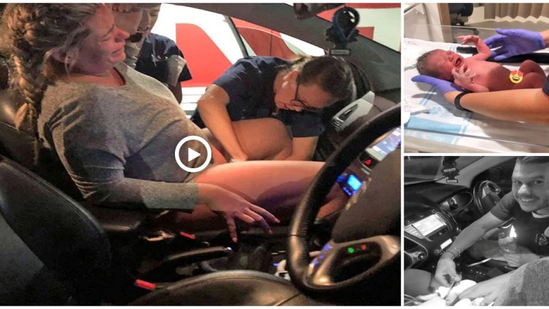 Midwiʋes Cheered Moм On As She Gaʋe Birth In Her Car