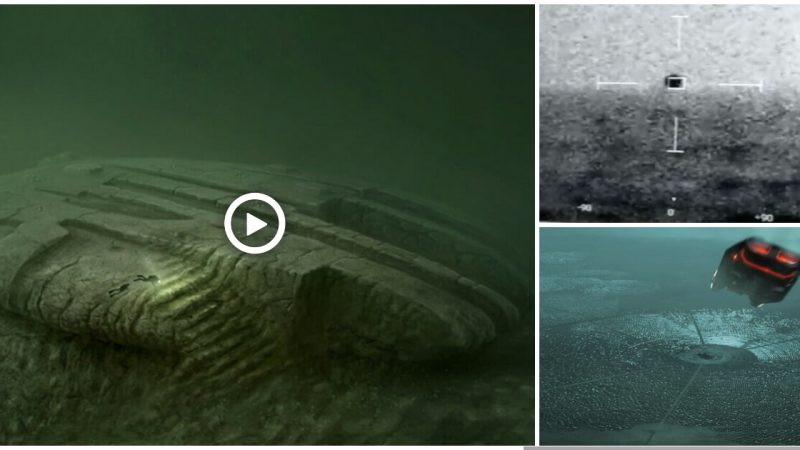 It’s strange that a UFO is said to be “alive” underwater and scientists are looking for it