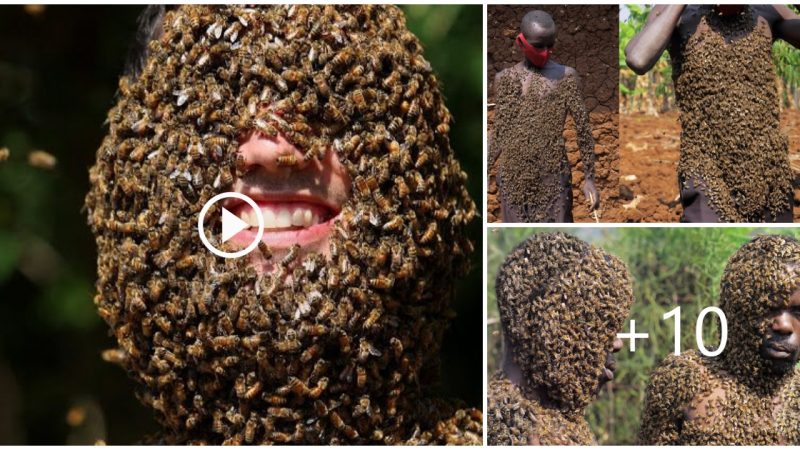 The man suffered to let the bees live on his body