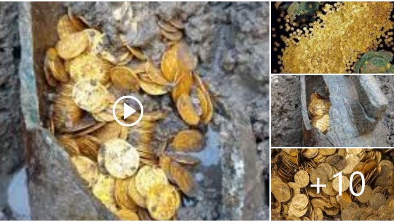 Hundreds Of Pure Gold Roman Coins Found in Italy