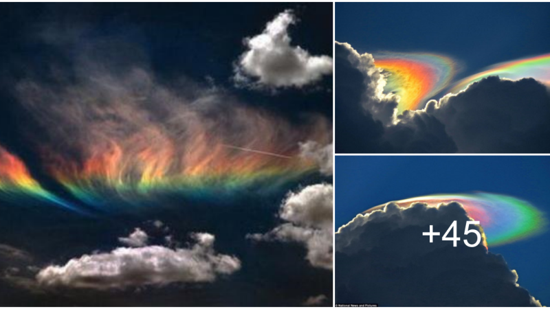 The Rare and the Beautiful! “fire rainbows” also known as iridescent clouds appeared unexpectedly in the US sky