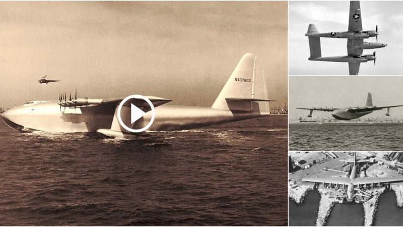 Howard Hughes, Why the Spruce Goose?