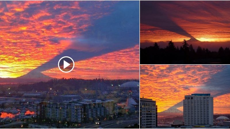 The beautiful moment when Mount Rainier silhouetted against the clouds created a scene like in the movie.