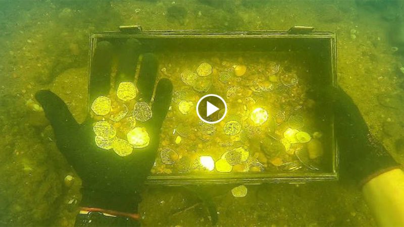 Gold dollars were “found” on a sunken ship! (Treasure hunt)