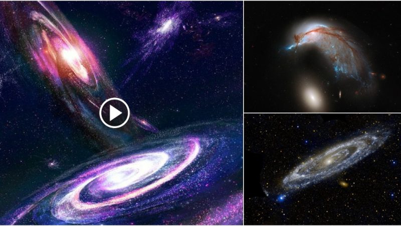 Understanding the Variety of Forms in Our Universe Through Galaxy Shapes.