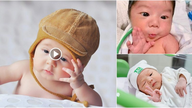 Funny moments of new born babies will melt the hearts of millions of viewers.