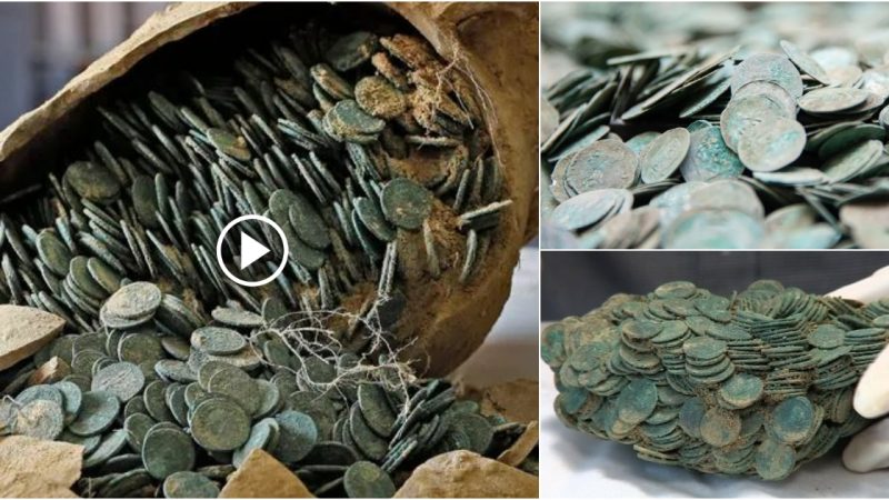 In Spain, 1,300 pounds of Roman coins were discovered.