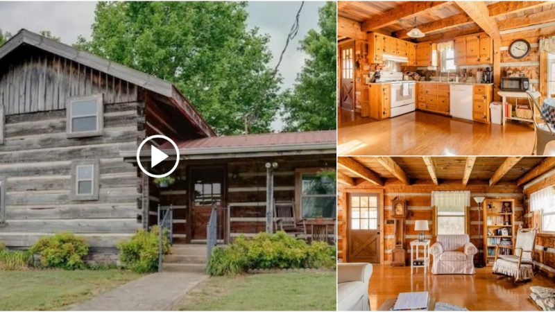 Welcome to Roney Creek Farm’s Rustic Log Cabin.