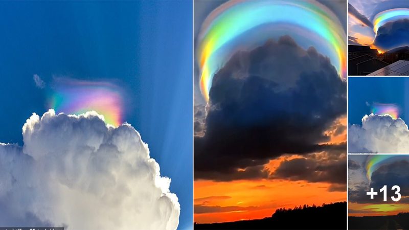 The rainbow rain cloud: Incredible natural occurrence looms over Chinese city like a multi-coloured halo