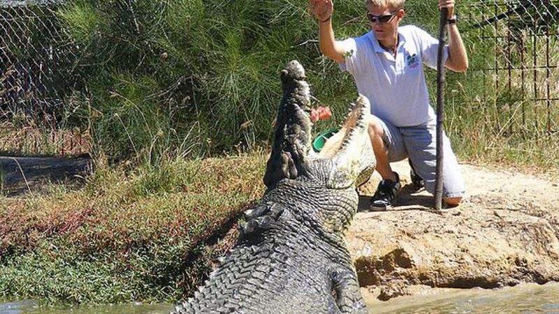 The world’s most famous crocodile, Buka, has passed away at the age of 100