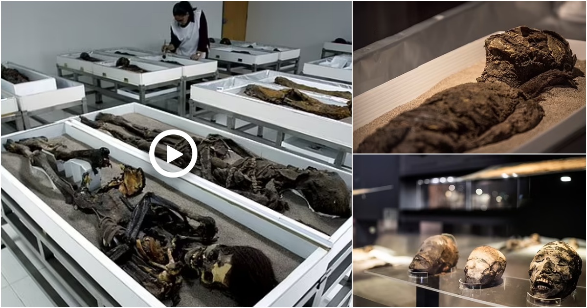 UNESCO adds 7,000-year-old Chilean MUMMIES to its World Heritage List ...