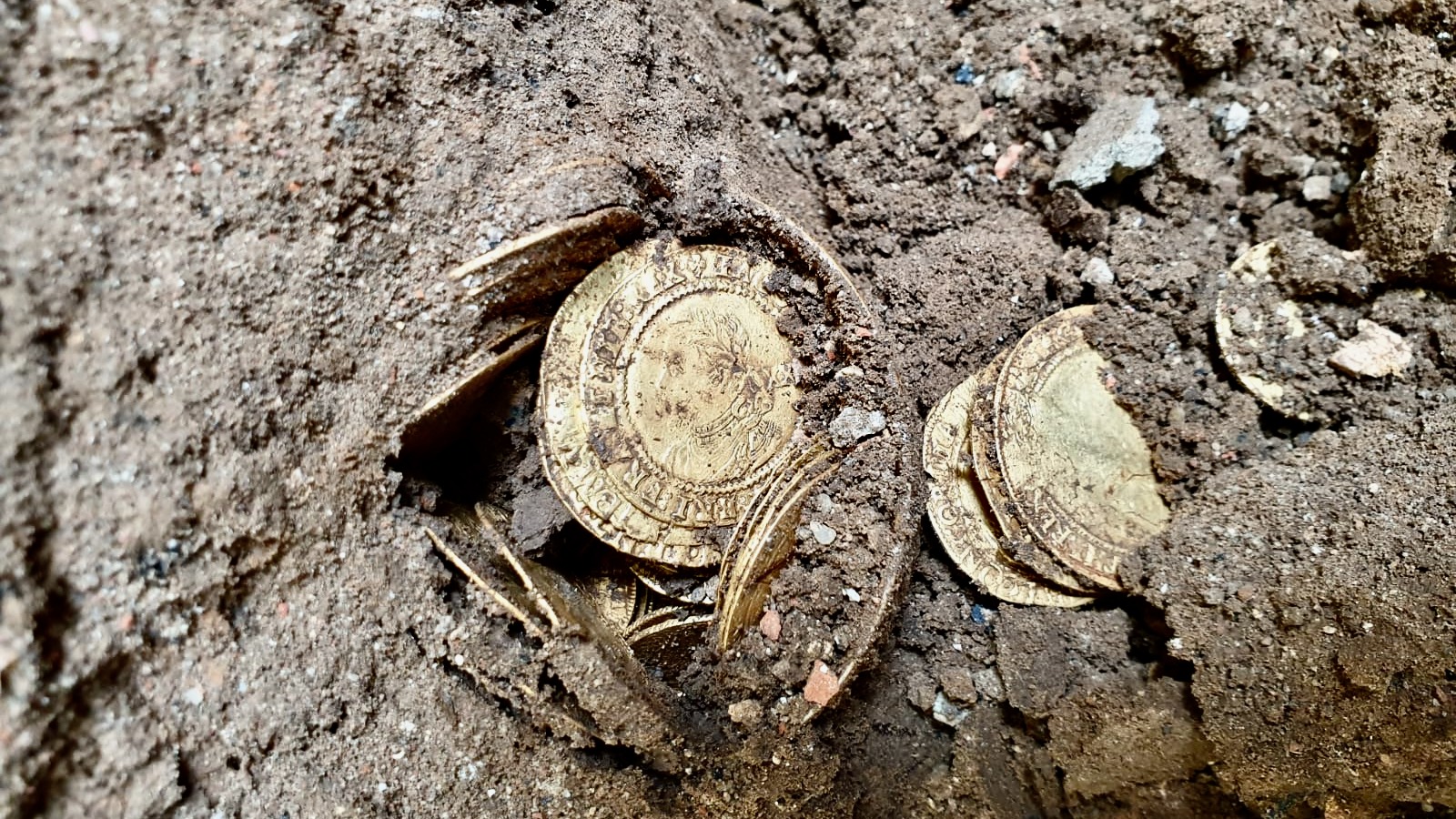 The Coin Hoard in Situ