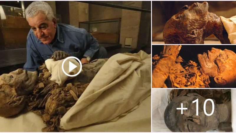 The Fascinating Discovery of the Mummy of Hatshepsut in Egypt’s Valley of the Kings