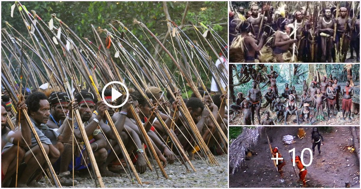 The Sentinelese The Enigmatic And Uncontacted Tribe Of North Sentinel