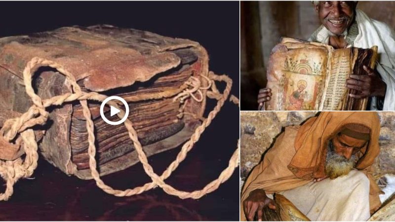 The oldest, most complete Bible on Earth