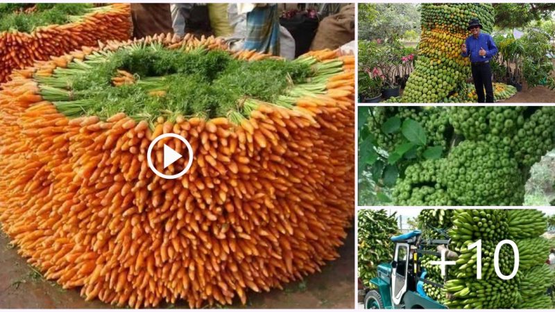 Unique way people arrange fruit beautifully