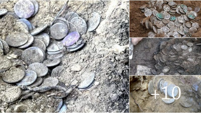 Unearthing a Hidden Treasure: Roman Silver Denarii Buried During Sulla’s Dictatorship in Tuscany