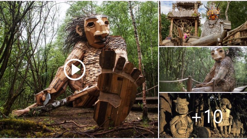 “Mystical Forest” – Unique wooden sculptures and shapes