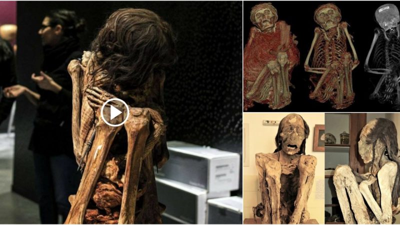 Three 1000-year-old mummies with unusual shapes revealed ancient savagery.