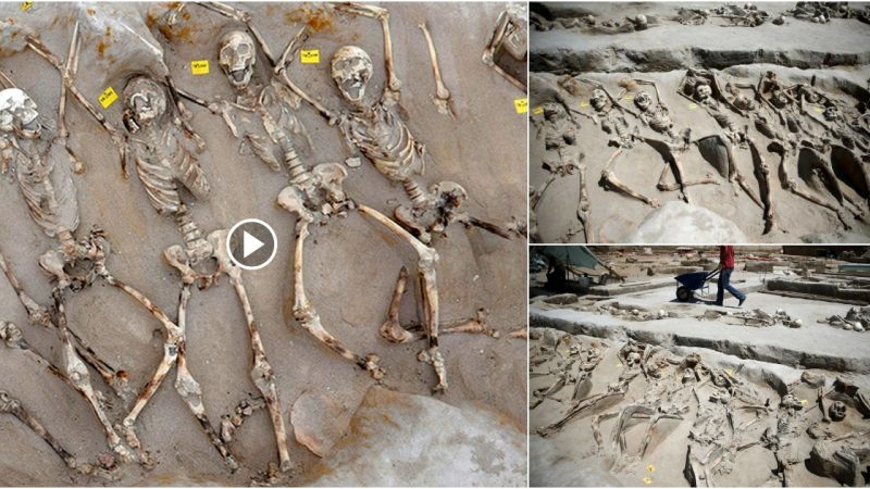 The Mysterious Case of 80 Shackled Skeletons Discovered in a Greek Cemetery.