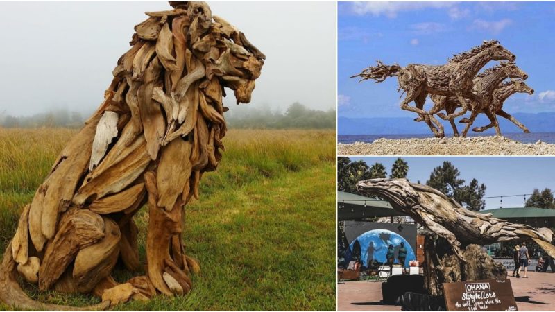 30 Amazing Wood Sculptures Made From The Pieces Found On Beaches.