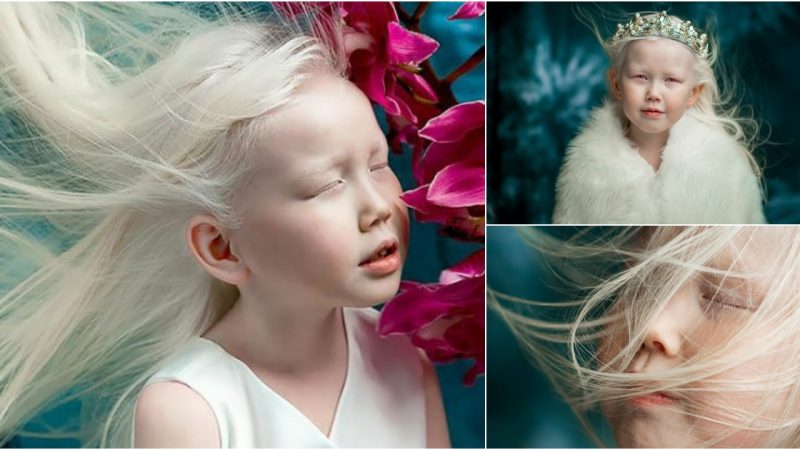 Unique Beauty Of The 8-Year-Old “Siberian Snow White”