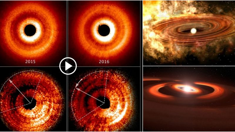 Planet-Forming Disks at Various Angles Surround a Newborn Star.