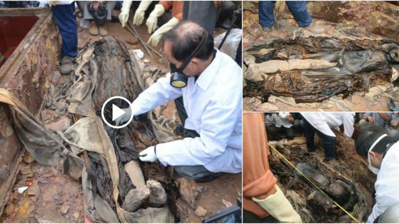 The mystery of a 300-year-old mummу’s ancient grave in Hanoi, Vietnam.