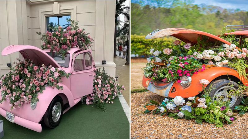 Awesome DIY Old Car Gardens