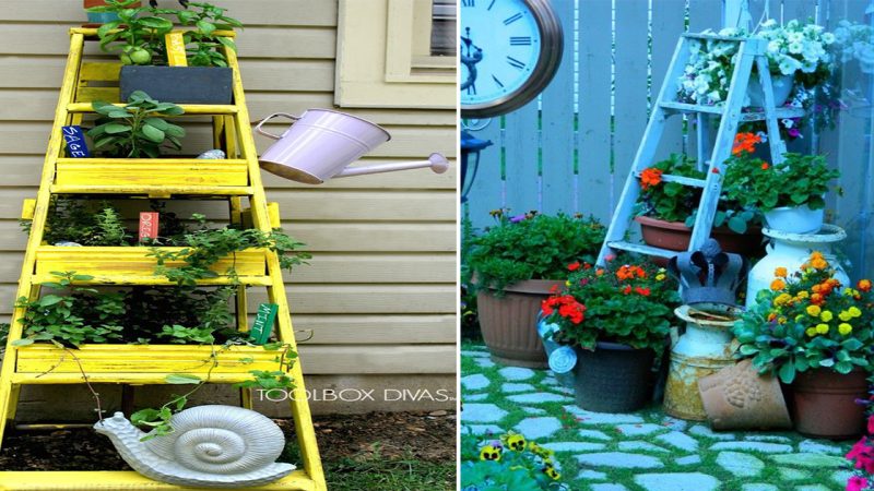 How to design a herb ladder for a charming porch