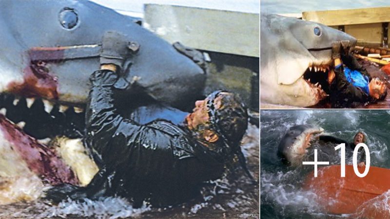 In Jaws, why did blood come out Quint’s mouth and where did the shark bite?