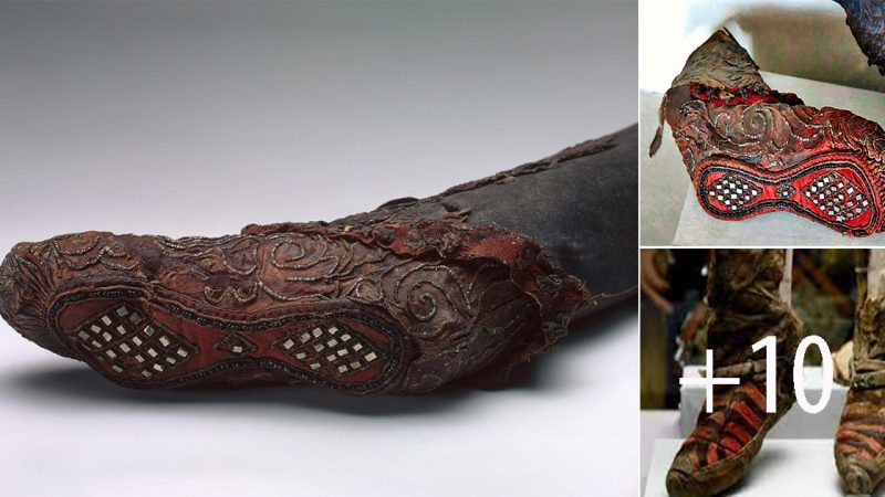 Exquisite 2300-Year-Old Scythian Woman’s Boot Preserved in the Frozen Ground of the Altai Mountains