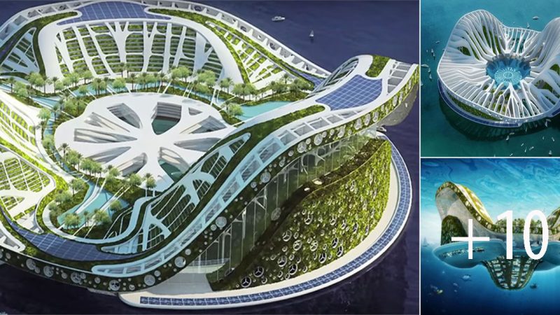 Are Floating Cities a Washed-Up Idea… or Are They the Future?