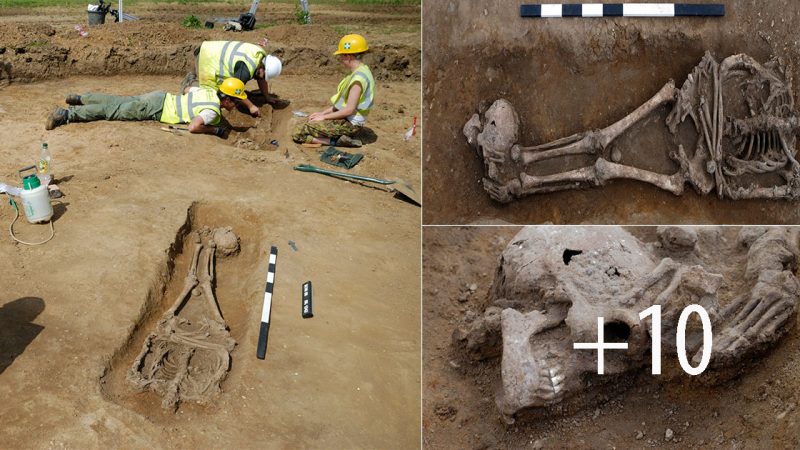 Exceptionally high’ number of decapitated bodies found at Roman burial site