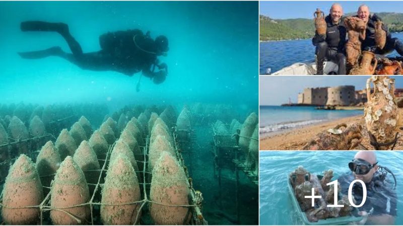 The Underwater Wine Cellars Of Croatia Beneath The Adriatic Sea