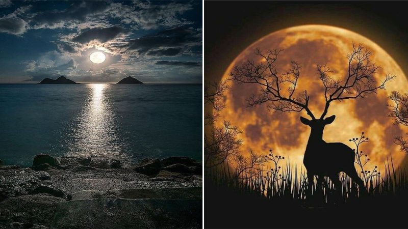 Captivating Images of the Largest “Super Stag Moon” of 2023 Illuminate Astronomy Enthusiasts Worldwide