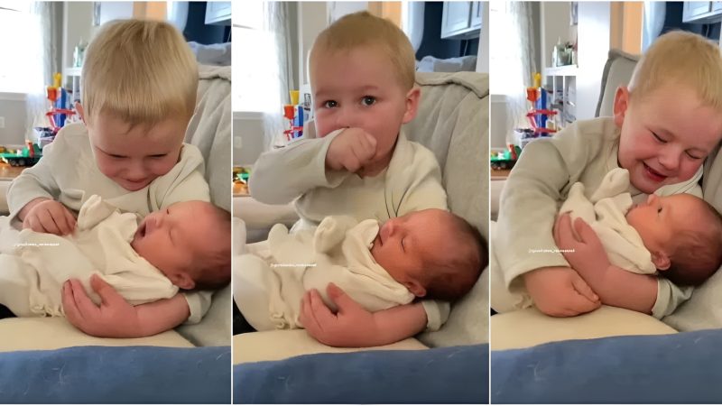 Emotional Scene: A Young Boy’s Overwhelming Experience Holding His Newborn Baby Sister for the First Time