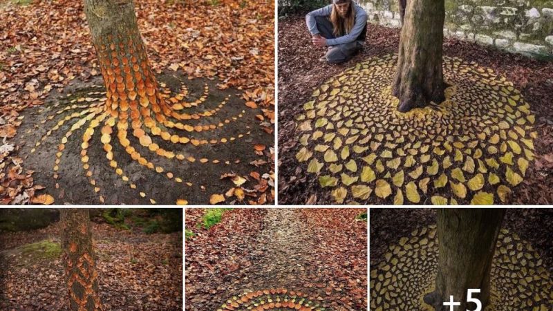 Amazing Leaf Art By Jon Foreman: Sculpt The World