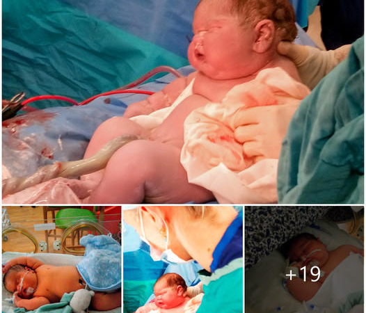 ’14lb 15oz’ – That’s the weight of a newborn boy! Can you believe?